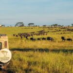 ¿Cuáles son los SUVs con asientos delanteros de mayor ajuste ergonómico para trayectos prolongados? »