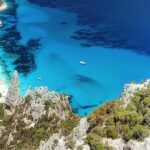 ¿Qué reservas naturales ofrecen los mejores safaris para observación de fauna en su hábitat? »