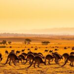 5 leyendas urbanas de distintos países que se han convertido en atracción turística »